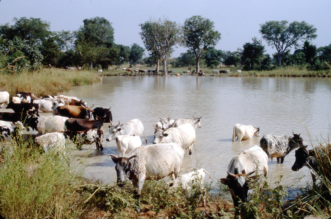 village scene